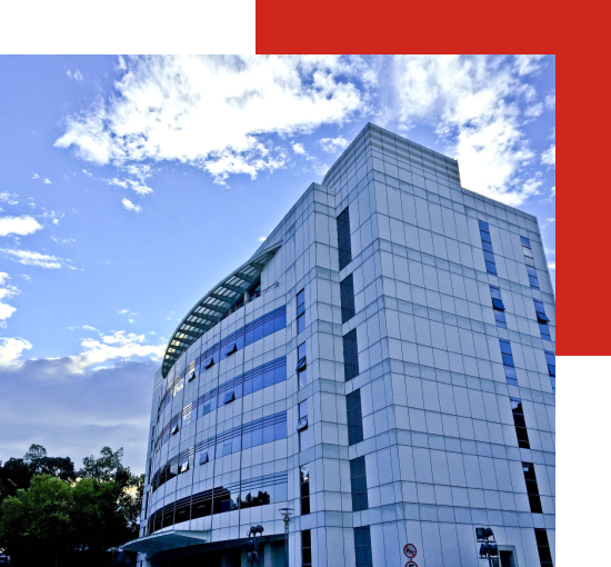 ���ڹ�������